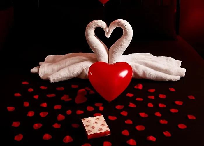 Location De 15h A 17h Wattignies